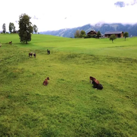 In Near Amade Slopes Lejlighed Kleinarl