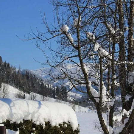 Apartamento With Ski-storage, Parking & Garden