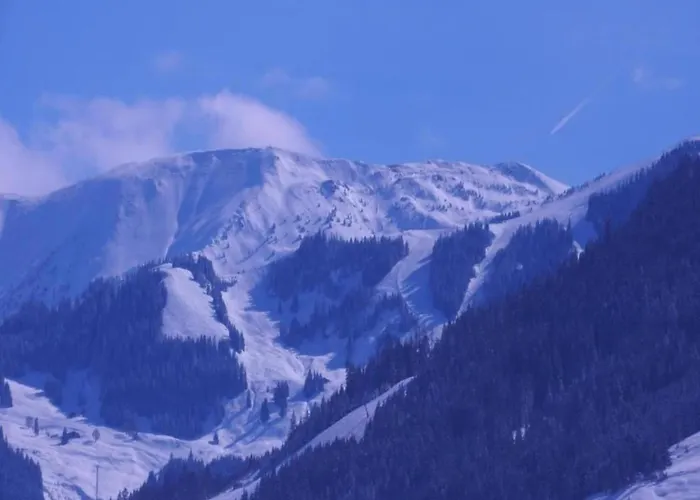 Appartamento In Near Amade Slopes *