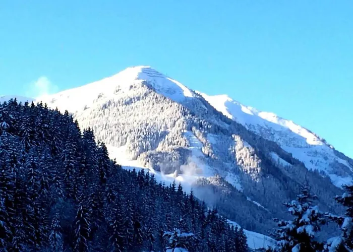 Appartamento In Near Amade Slopes Kleinarl