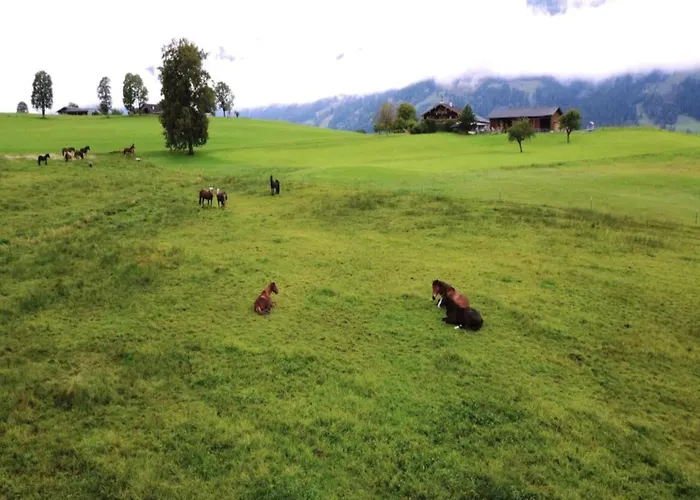 In Near Amade Slopes Appartamento Kleinarl