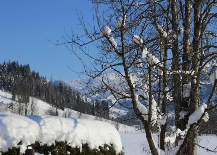 Appartamento In Near Amade Slopes